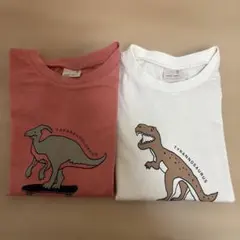 petit main 恐竜Tシャツ 2枚セット 120