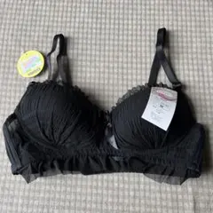 Item thumbnail for item 0d2e8ce8-faa9-4771-ae6a-c5ce2beaf4eb