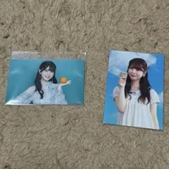 筒井あやめ　ミニ生写真　フォトカード　セット