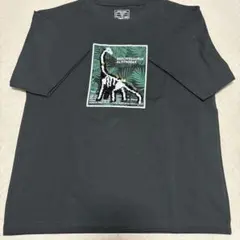新品★GLOBAL WORK ブラキオサウルス スパンコール Tシャツ 150のサムネイル