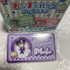 カラフルピーチ おなまえバッジコレクション もふ