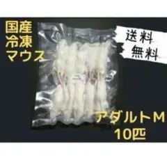 国産 冷凍マウス ファジー L 20匹 (送料無料一部地域発送不可) - メルカリ