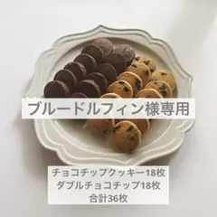 ブルードルフィン様専用⭐︎クッキー36枚セット