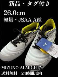 2026年最新】mizuno ミズノ 安全靴オールマイティーtd11lの人気