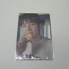 SEVENTEEN WONWOO ウォヌ FML kit
