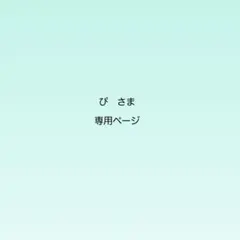 専用ページ