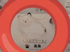 うちの子のけだまだま　黒柴　ペテモ　限定アソート　犬