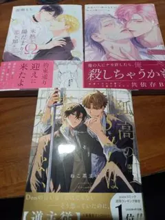 BL漫画　3冊セット