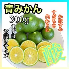 爽やかな夏のみかん　青みかん　300g 【農家直送】【農薬不使用】【すだち代用のサムネイル