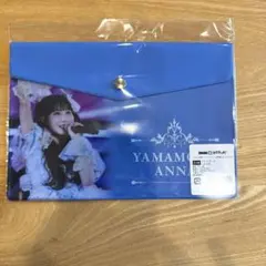 ＝LOVE DMMスクラッチくじ　山本杏奈　フラットポーチ　C賞