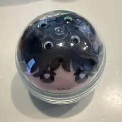 かぷっこふれんずINI 後藤威尊