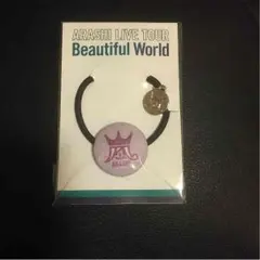 嵐 会場限定紫 美世界