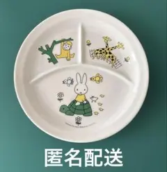 ランチプレート　グリーン　新品未使用　11枚セット 2025年最新】ランチプレートの人気アイテム - メルカリ