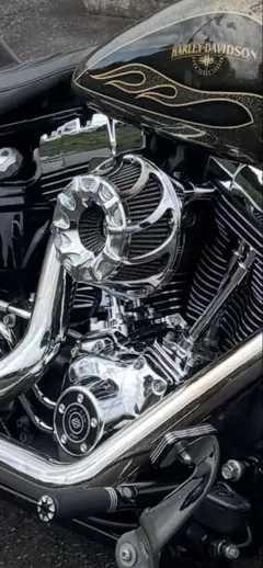 ハーレーダビッドソン　ARLEN NESS エアフィルター 18-200-1 ハーレーダビッドソン ARLEN NESS エアフィルター 18-200-1 - メルカリ
