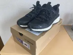 Mizuno Wave Evoke GTX 26.0cm EEE