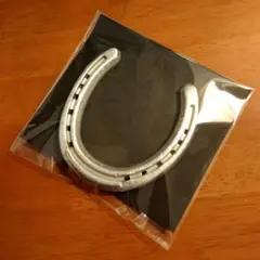 【本物の蹄鉄】馬蹄