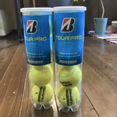 Item thumbnail for item ddb526b3-731e-480b-b4cb-18231ce702b7