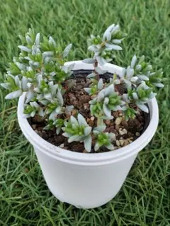 優飛mama様 リクエスト 7点 まとめ商品