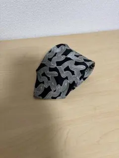 DOLCE and gabbana ネクタイ