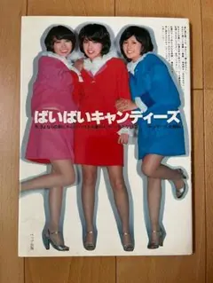 ☆☆当時物【キャンディーズ】お宝グッズ まとめ売り トレーナー/写真集/バッジ他 2026年最新】写真集 キャンディーズの人気アイテム - メルカリ