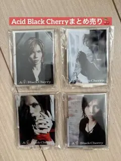 2026年最新】acidblackcherry black listの人気アイテム - メルカリ