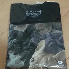 草彅剛 はっぴょう会TシャツSサイズ 新品 - メルカリ