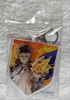 家庭教師ヒットマンREBORN 沢田綱吉 XANXUS アクリルキーホルダー