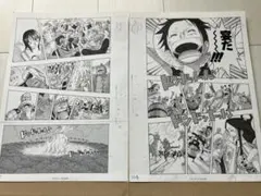 12/14まで値下げONE PIECE 複製原画　ビブルの秘宝② ONE PIECE 複製原画 2億冊突破記念キャンペーン ビブルの秘宝② - メルカリ