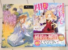 小説　まとめ売り③