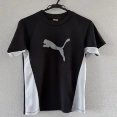 Puma Tシャツ　ヒマラヤTシャツ　2枚セット