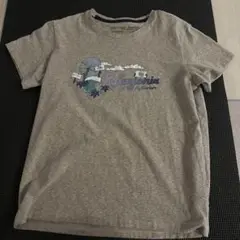 美品　パタゴニア　patagonia グラフィックTシャツ Mサイズ