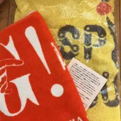 【未使用＆美品＆おまけつき】スピッツ タオル GO！スカ 等 2枚 ＆ ハガキ
