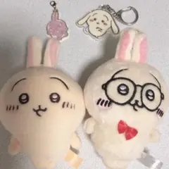 ちいかわ うさぎ 4点セット+α