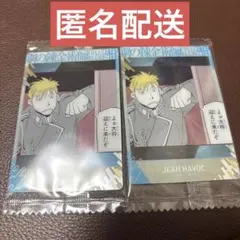 鋼の錬金術師 ウエハース2 カード ジャン・ハボック ノーマル N ハガレン