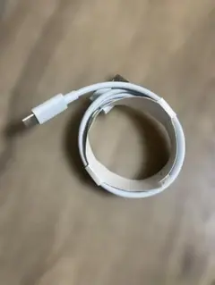 Apple iPhone typeC Lightningケーブル USB-