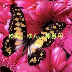 ゆん。ゆん。 様専用 FANCL ファンケル エンリッチプラス クレンジング