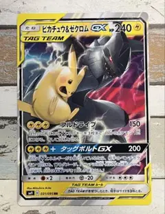 ピカチュウ&ゼクロム　ジャンボカード　コロコロアニキ　付録