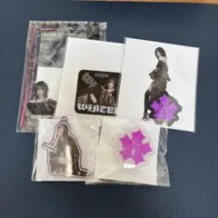 aespa 2025 LIVE TOUR ランダムトイ ウィンター 5種