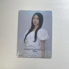 BNK48 Hoop AKB48 武道館 入場特典 トレカ　トレーディングカード