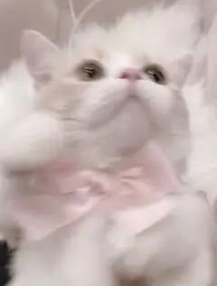 【　riri様専用　】