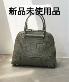 新品未使用【ギブリ S COCCO】イアクッチ