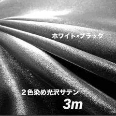 Item thumbnail for item caf9850c-fa5b-470d-bf10-73188fafd1aa