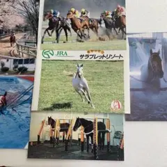 競走馬トレーディングカードセット 2025年最新】競走馬 カードの人気アイテム - メルカリ