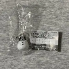 PEANUTS ピーナッツ　めじるしアクセサリー　FUNNYver