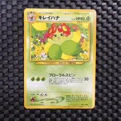 旧裏 キレイハナ まとめ売り2枚 インフォメーションパックおまけカード