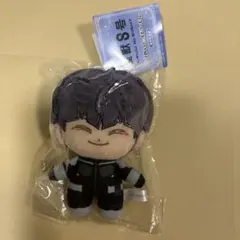 怪獣8号　開封済・未使用　ぷりぬいたっちどりーむみに 保科宗四郎