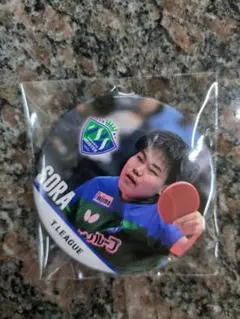 Item thumbnail for item 2bc8c4d6-318d-4633-a934-ee7179a651f9