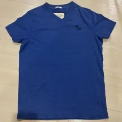 Abercrombie & Fitch Tシャツ ブルー　Sサイズ