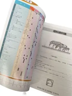 【新品】理科資料集　馬渕教室　24h以内匿名発送‼️のサムネイル