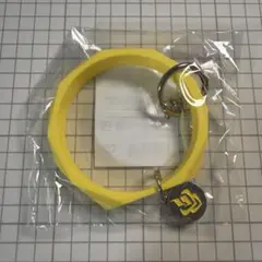 2026年最新】天馬司 ペンライトの人気アイテム - メルカリ